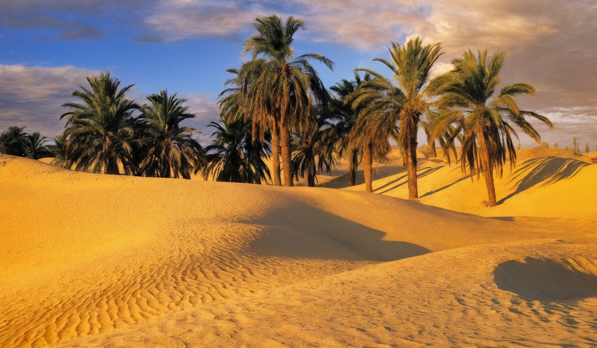 enhanced_940x500-1-50-e73600cbdcf090900d4a7ad7086d3228