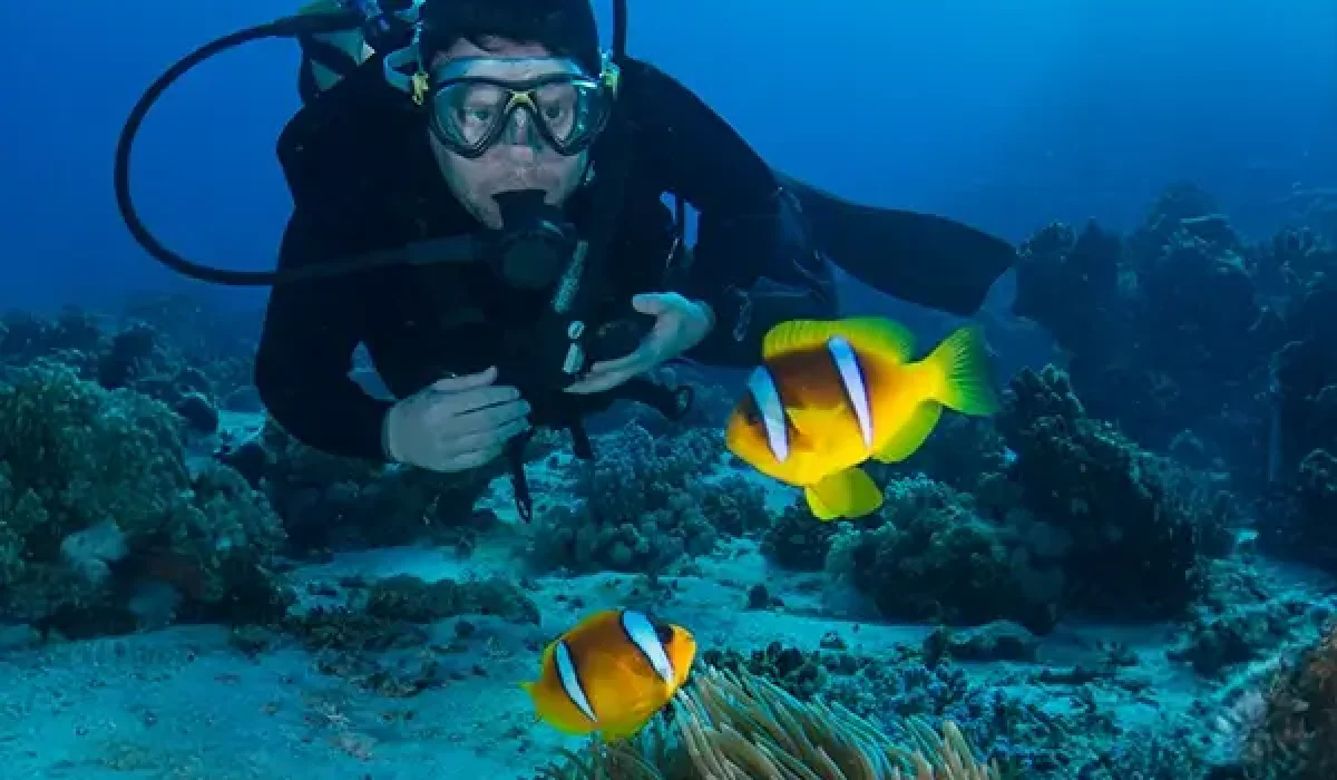 scuba-diver-looking-at-clownfish-amphiprion