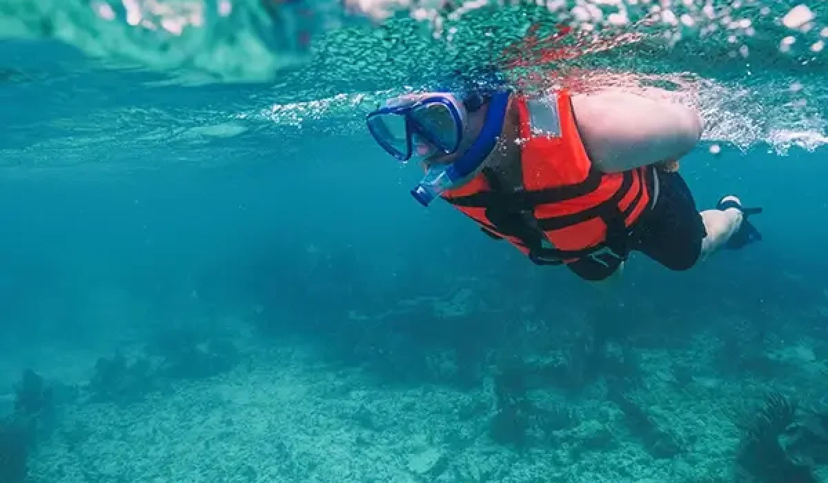 split-shot-of-a-tourist-doing-snorkeling-
