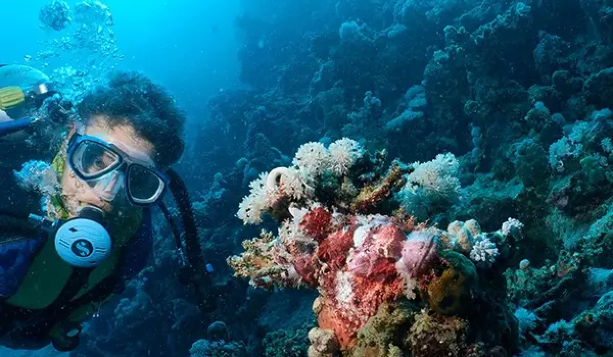 underwater-shot-of-a-scuba-diver-and-the-aquatic